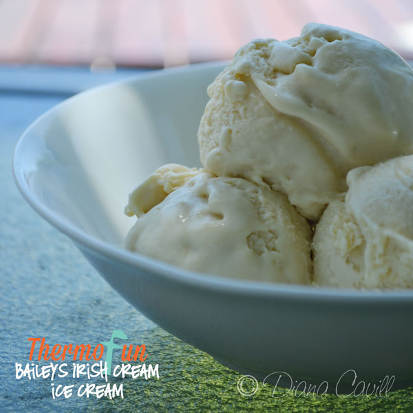 Thermomix – Baileys Ice Cream Recipe