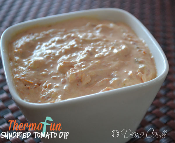 ThermoFun – Sundried Tomato Dip Recipe