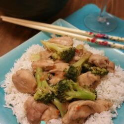 ThermoFun – Week 27 – Bourbon Chicken Recipe