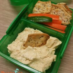 ThermoFun – French Onion Dip with Cream Cheese Recipe