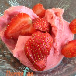 ThermoFun – Strawberry Honey Ice Cream Recipe
