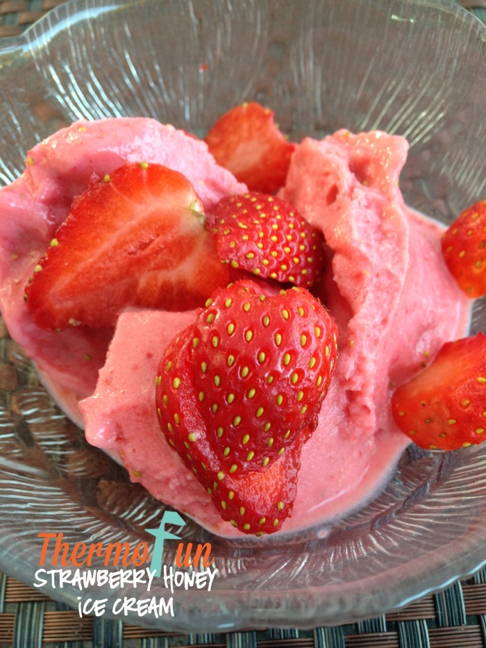 Thermofun Strawberry Honey Ice Cream Recipe Thermofun Thermomix Recipes And Tips 