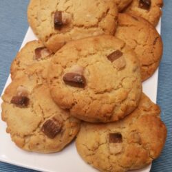 ThermoFun – Top Deck Cookies