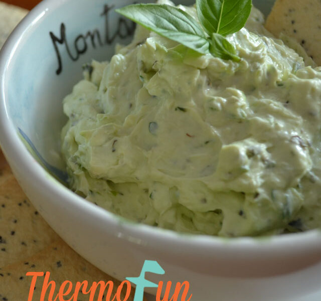 ThermoFun – Herb and Garlic Dip Recipe