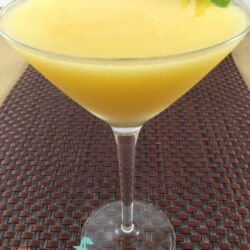 ThermoFun – Week 1 – Mango Daiquiri Recipe