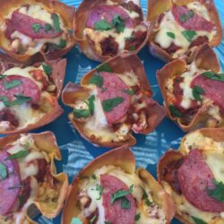 ThermoFun – Pizza Wonton Cups Recipe