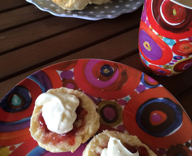 Thermomix made scones with jam and cream on a plate