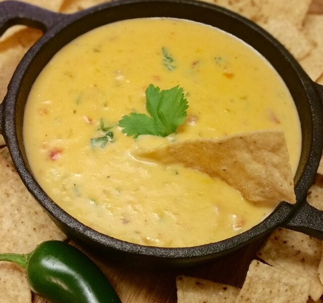 Chilli Con Queso Dip – ThermoFun